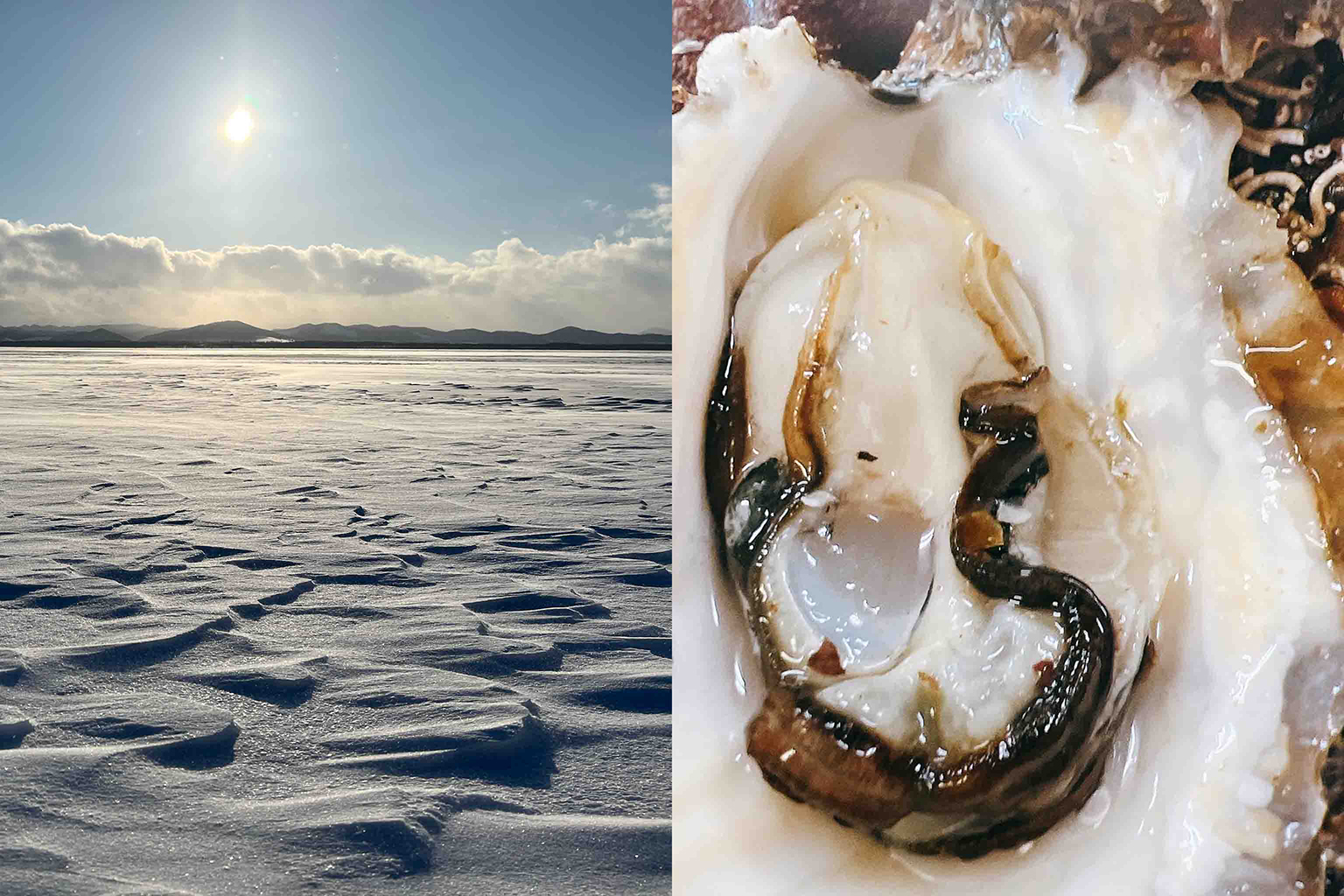 透明感のあるクセのない味わい 北海道・サロマ湖に降る雪のような白い牡蠣 わたゆき牡蠣