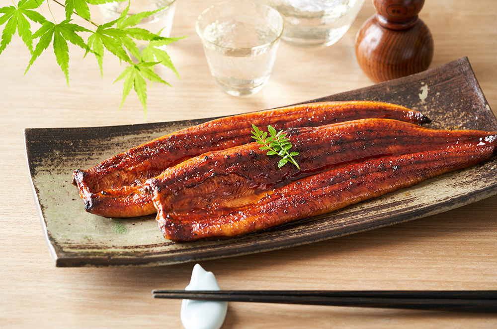 うなぎの種類はひとつじゃない！食用種の特徴や天然と養殖の違い
