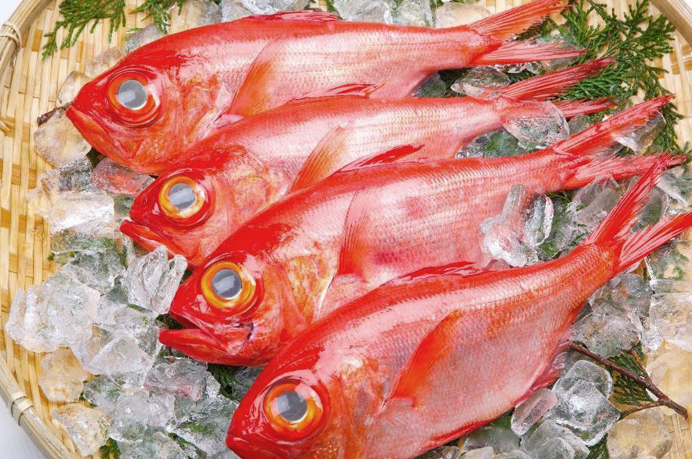 キンメダイの旬は2回ある！特徴や主な産地、おいしい食べ方は？